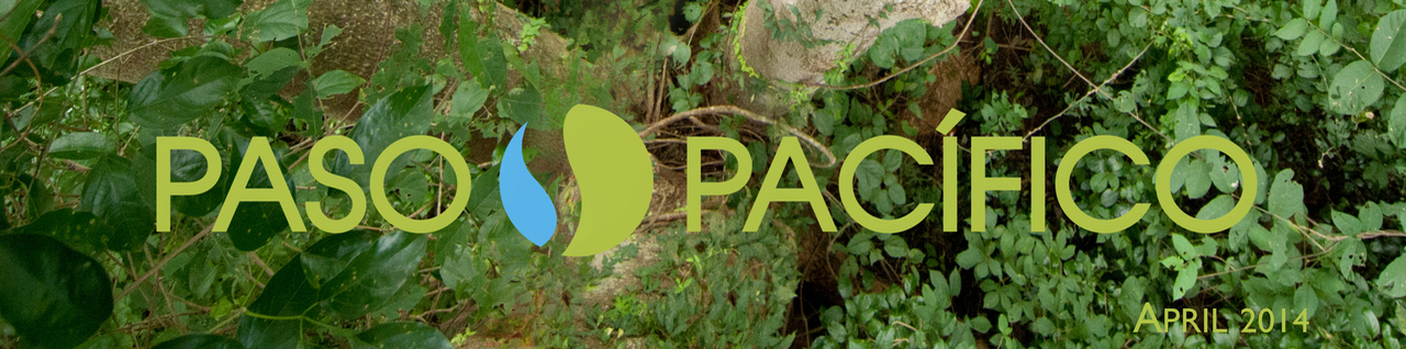 PASO PACIFICO - MAKING CONNECTIONS FOR CONSERVATION