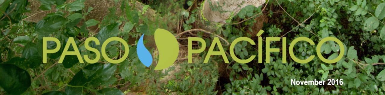 Paso Pacifico Logo