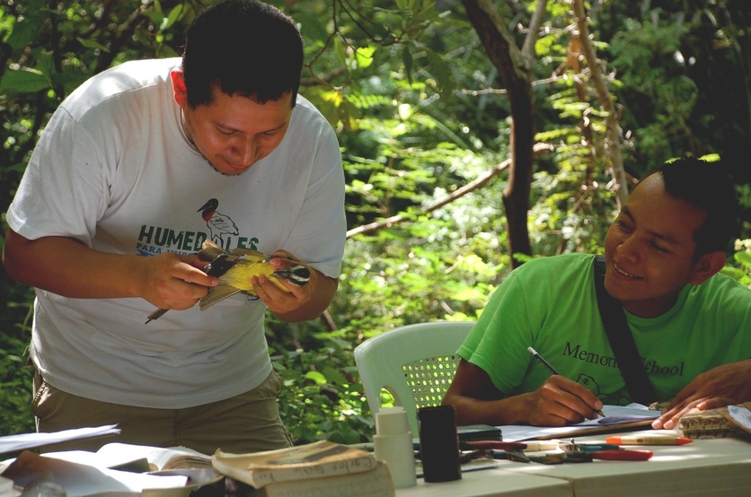 Rangers studying birds at a bird-banding research station