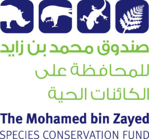 Fundación Mohammad bin Zayed