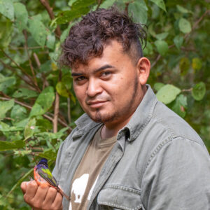 Oswaldo Saballos sostiene un escribano pintado macho. Foto de Vincent Romera.