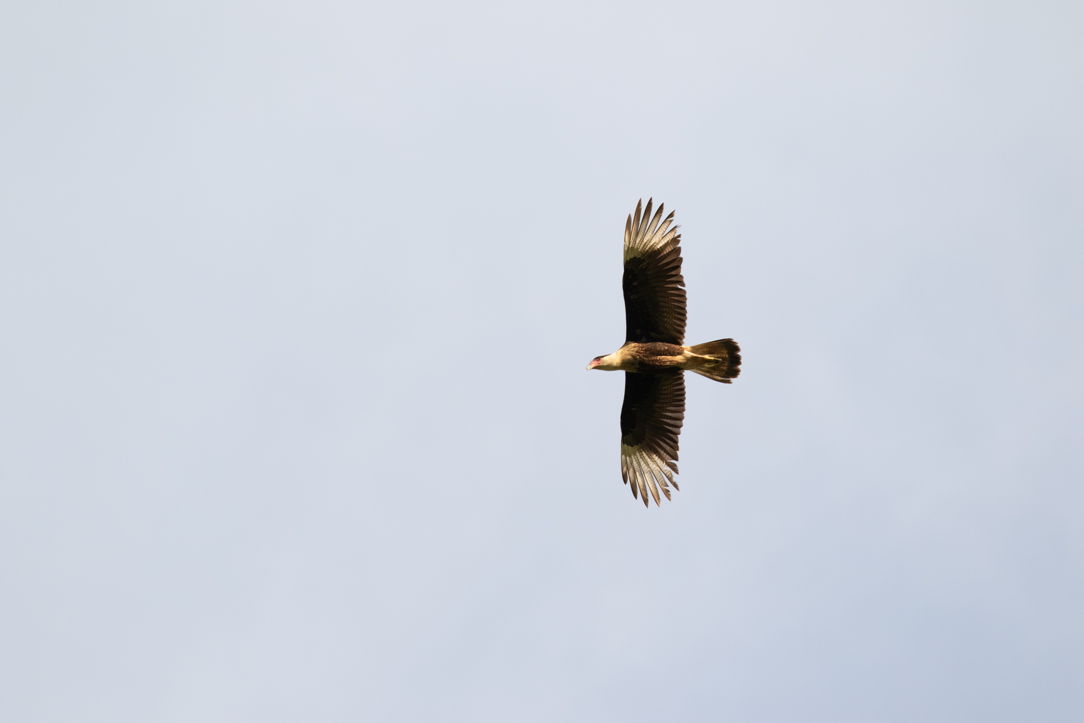 Foto de Vincent Romera