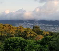 View of San Salvador. Photo by Sarah Otterstrom.