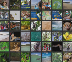 Collage of 2021 Instagram photos, with a few photos from 2020 and 2022