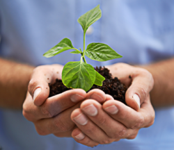 Los QCD pagan menos impuestos y ayudan al planeta