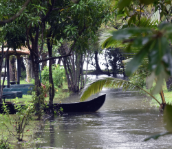 ¿Qué es la temporada de monzón?