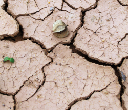 Día del Mundo para combatir la desertificación y la sequía