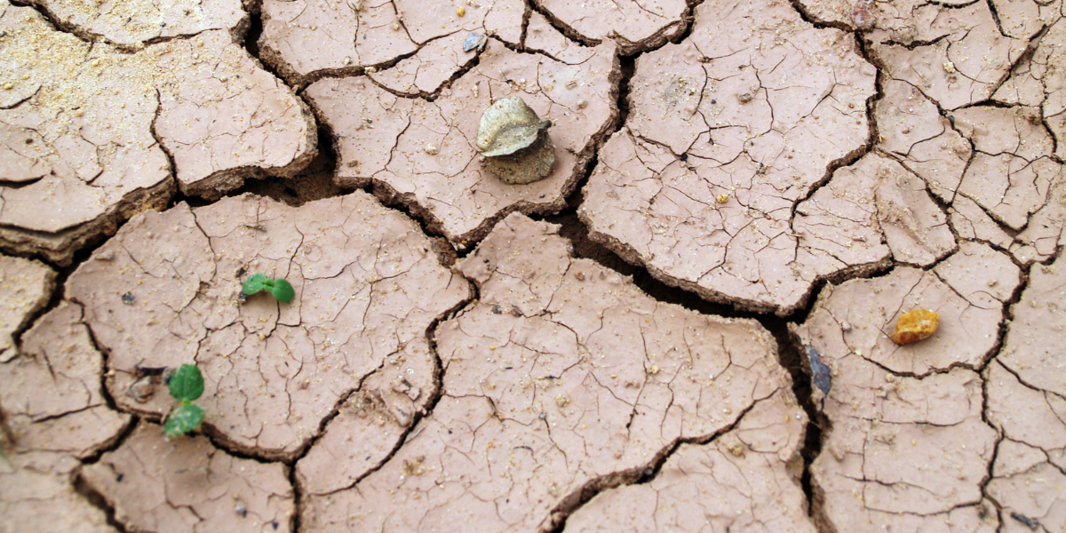 Día del Mundo para combatir la desertificación y la sequía
