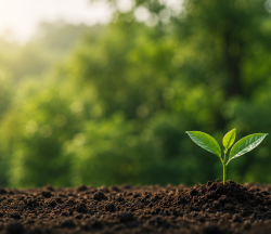día mundial de la conservación de la naturaleza